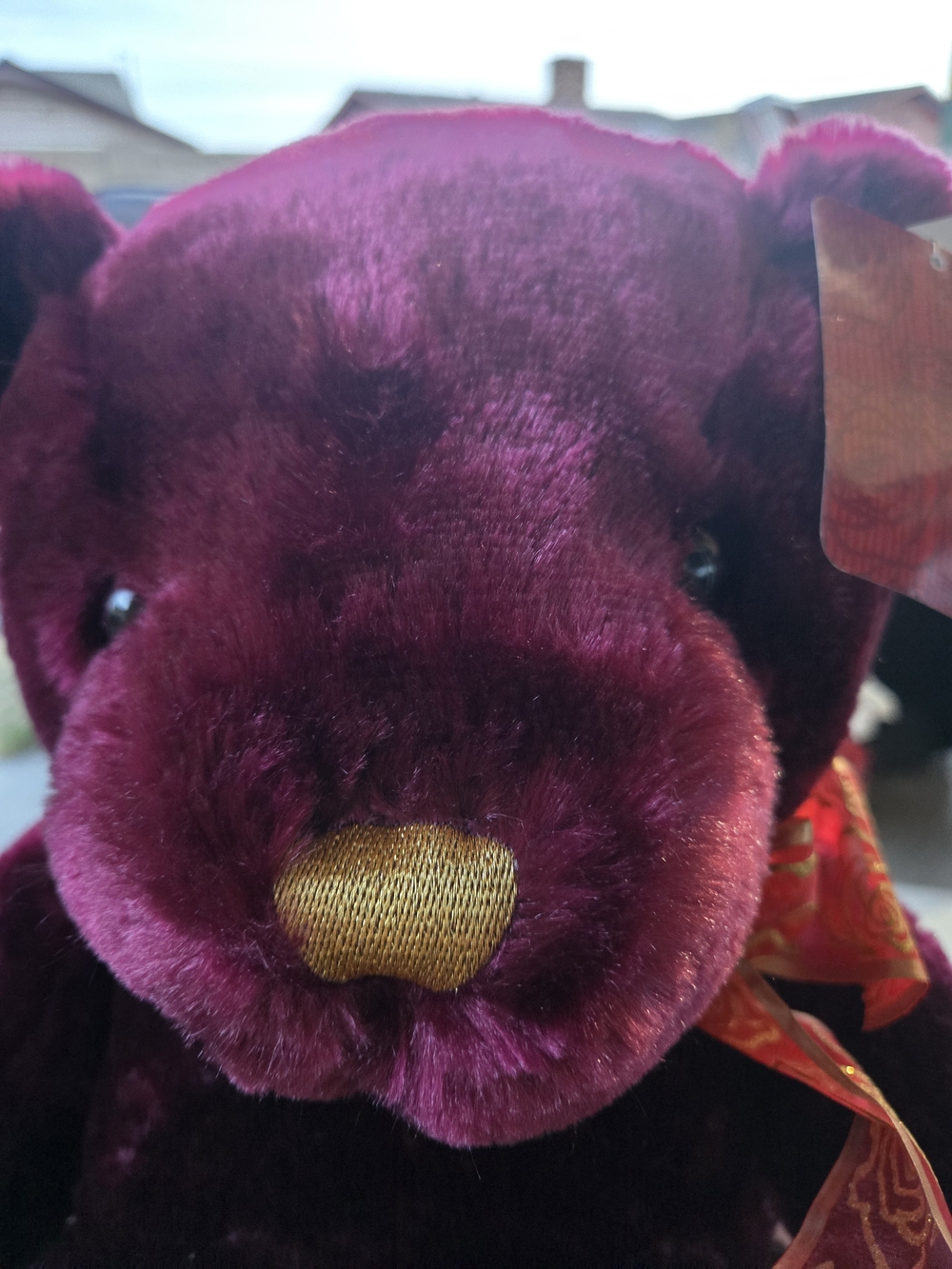 The Softest Plushy Bear EVER! NwT approx 20" tall